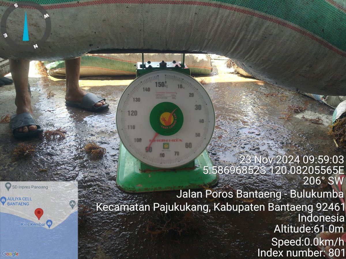 AnggunAngg25809's tweet photo. Kegiatan tgl 23 November 2023
Mendampingi kelompok budidaya Pokdakan harapan baru dalam penyaluran bantuan pemerintah berupa bibit rumput laut Rp 5.000/kg di Desa Pajukukang Kec Pajukukang Kab Bantaeng 

#luhlapor 
#Satminkalmaros https://t.co/As4ZNtRCGO