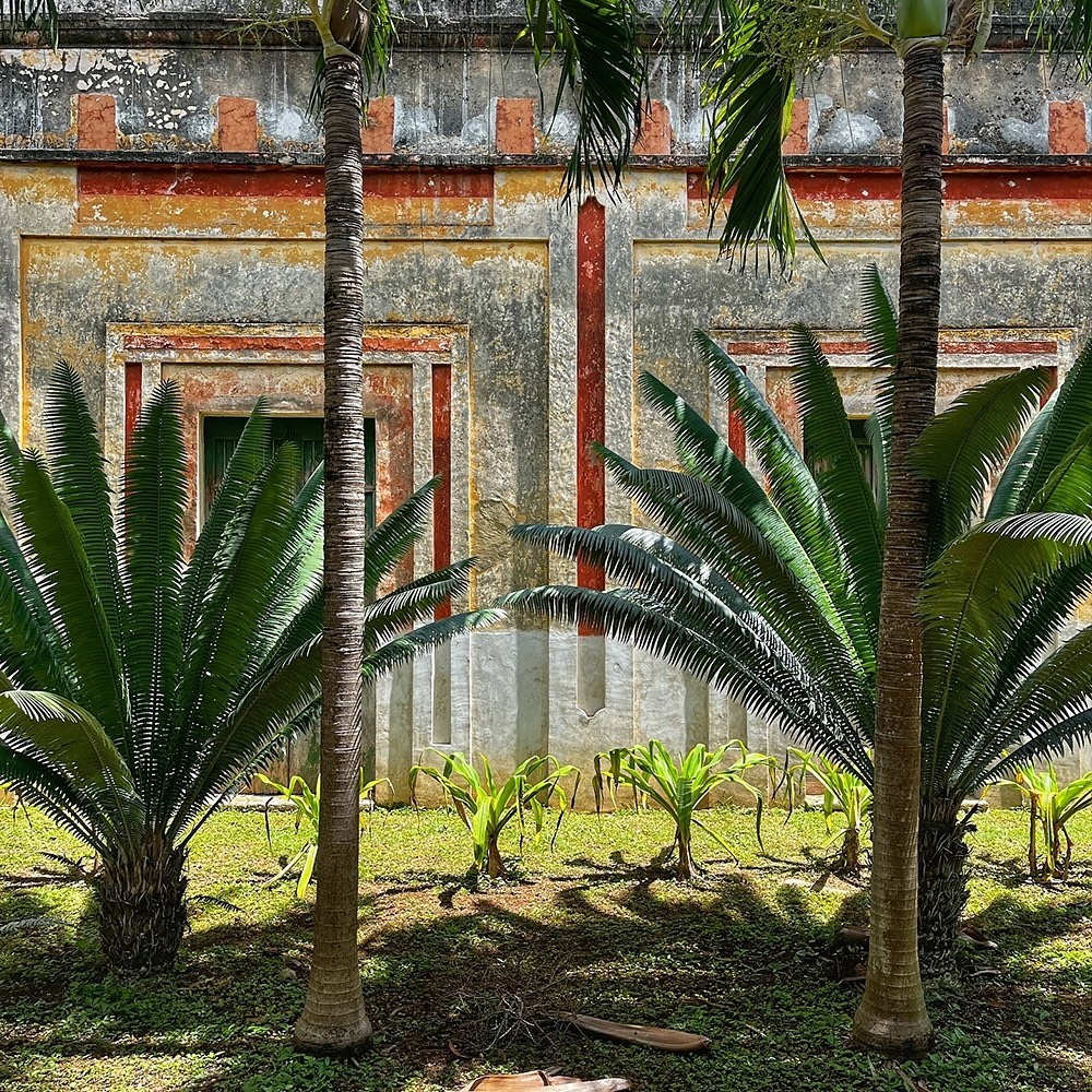worldtravelmag2's tweet photo. Uncover the stories of the Yucatán with a trip to Hacienda Yaxcopoil. There is more to the Yucatán region than just centoes and beaches! 🌿✨
📸: @mexicotomyeyes
#Travel #LuxuryTravel #Haciendayaxcopoil #Yucatán #YucatánAdventures #HistoryUnfolded #TimelessEscape #Mexico https://t.co/MimokWnS8J