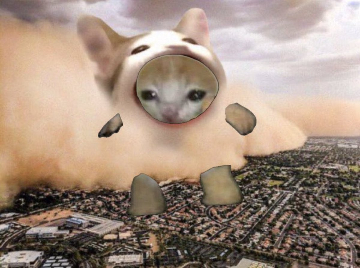 Can we make cat coins great again?