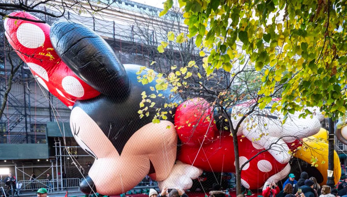 Anthony Knutson tweet media