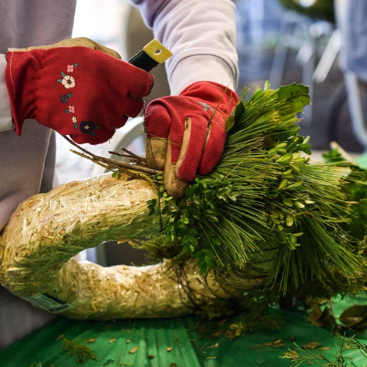 🥂🌲 Create a beautiful and unique evergreen wreath while sipping a drink with a friend!

We're hosting several festive and fun wreath workshops complete with wreath forms and a variety of freshly cut evergreens, plus refreshments.

Sign up at maymont.org/calendar/
