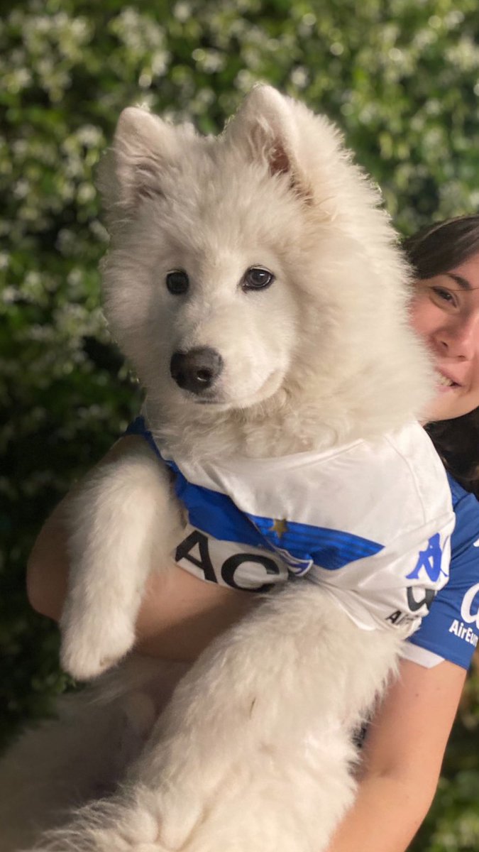 ValeDaPra's tweet photo. #Velez 💙🤍💙 https://t.co/KtGrbC1Lza