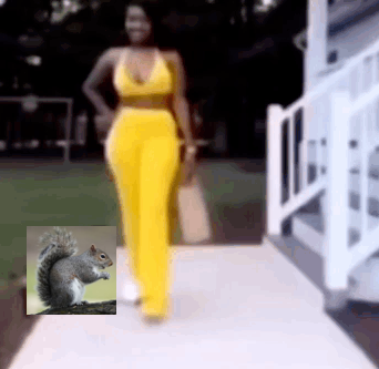 mama a squirrel behind you