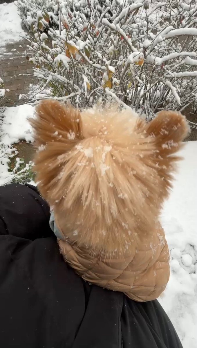 — 🐱 [27.11.2024] : Atualização do Wonbin no Weverse 

❄️boat sempre se mantenha quente❄ ️
#TheCrewOne #더크루원 #ATBO #JUSTB #에이티비오 #저스트비 #WONBIN #원빈