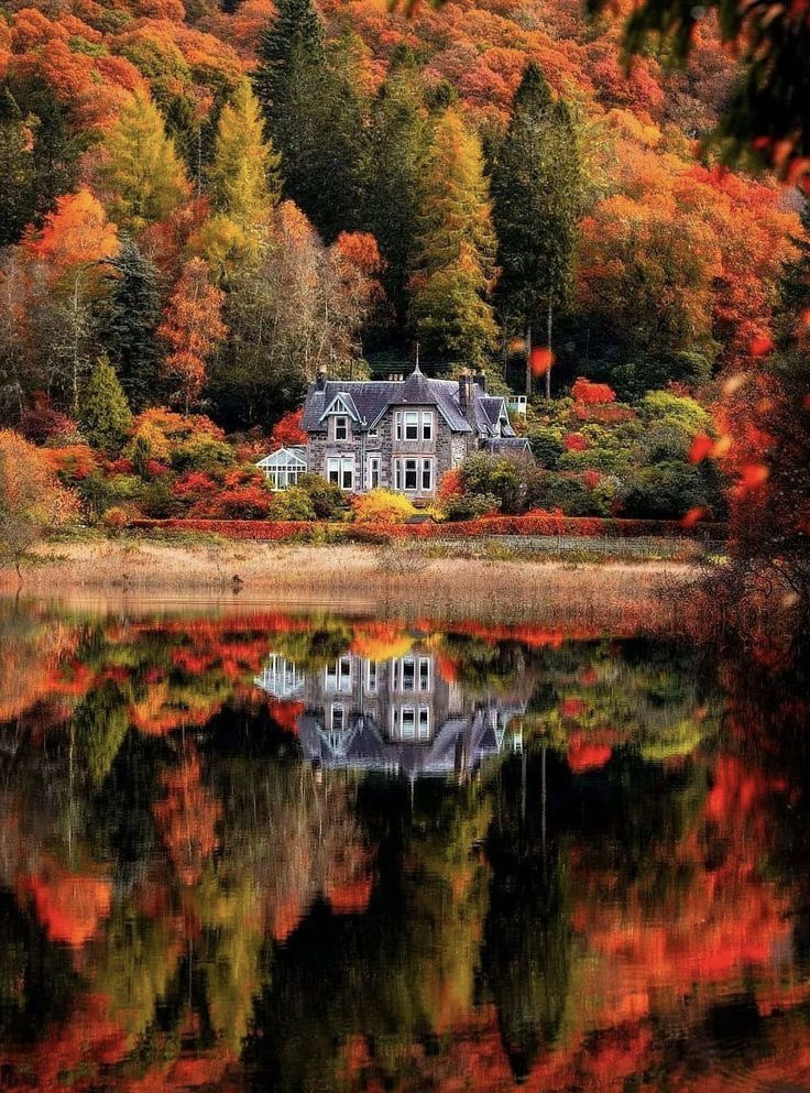 helena_mar19's tweet image. Good Morning 
Have a Beautiful Day 

(UK,📷 Pinterest)