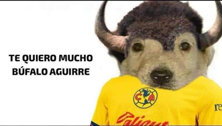 HazFabio's tweet photo. Les dejo estos búfalos 🦬 de la suerte mi gente jajajajajajajajajaa https://t.co/PxpqeX82pe