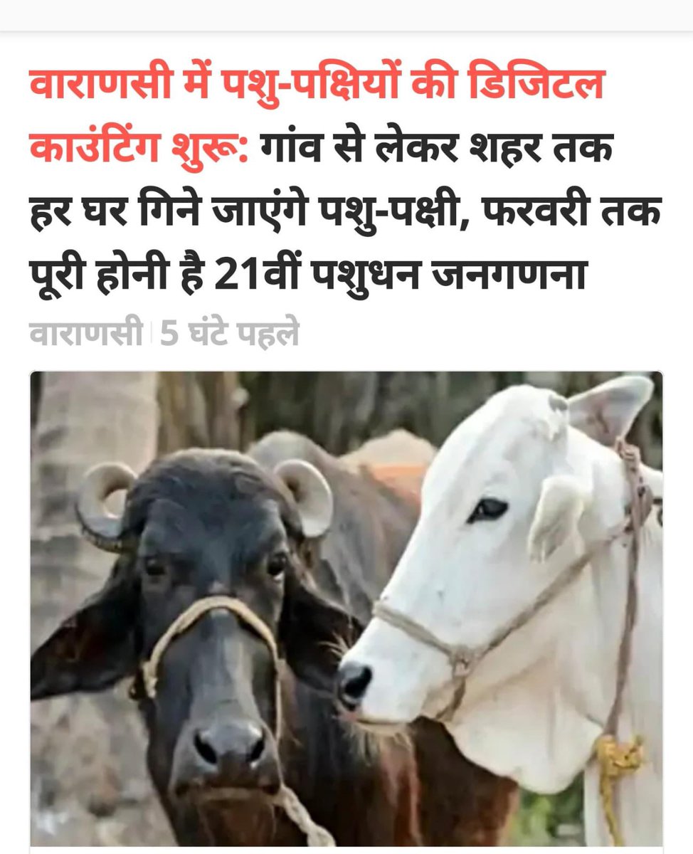 भाजपा राज में जाति छोड़कर सब कुछ गिना जाएगा।

हम एक दिन गिनवा के ही मानेंगे। भाजपा जातिगत-जनगणना हमेशा के लिए नहीं टाल सकती।