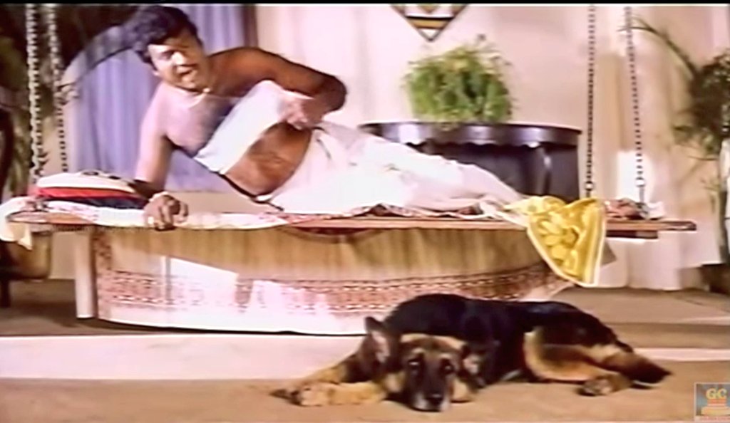 CoCo | இளநி tweet media