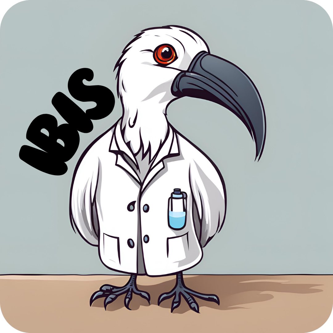 One day left to abstract submission close! We have one of the most iconic Aussie birds joining us at the meeting, the bin chicken - I mean ibIS! If not at the amazing talks he will likely be at the bins behind the venue. Come register at abstract at MGEAUS.org