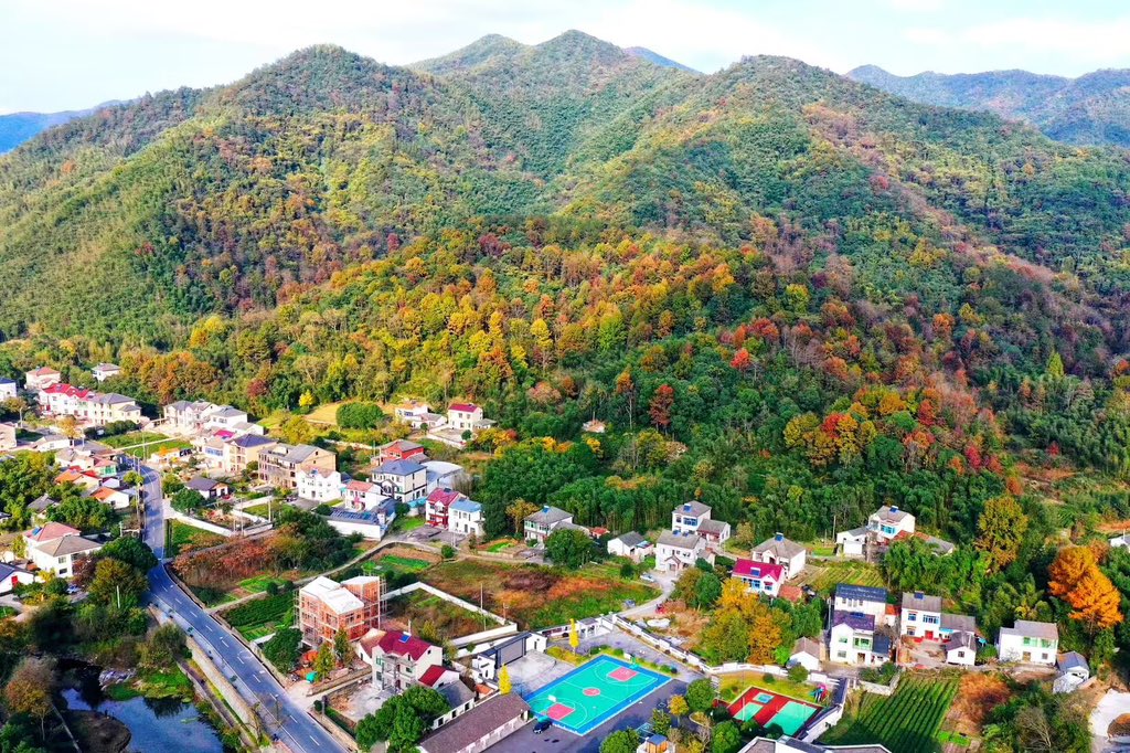 Zhangwu,China🇨🇳 tweet media