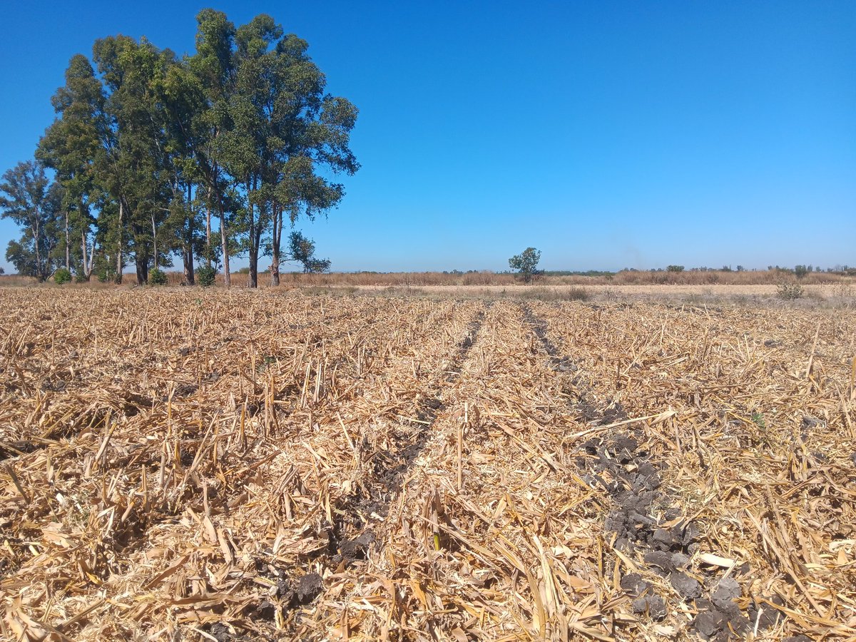 Erick Ortiz Hdez tweet media