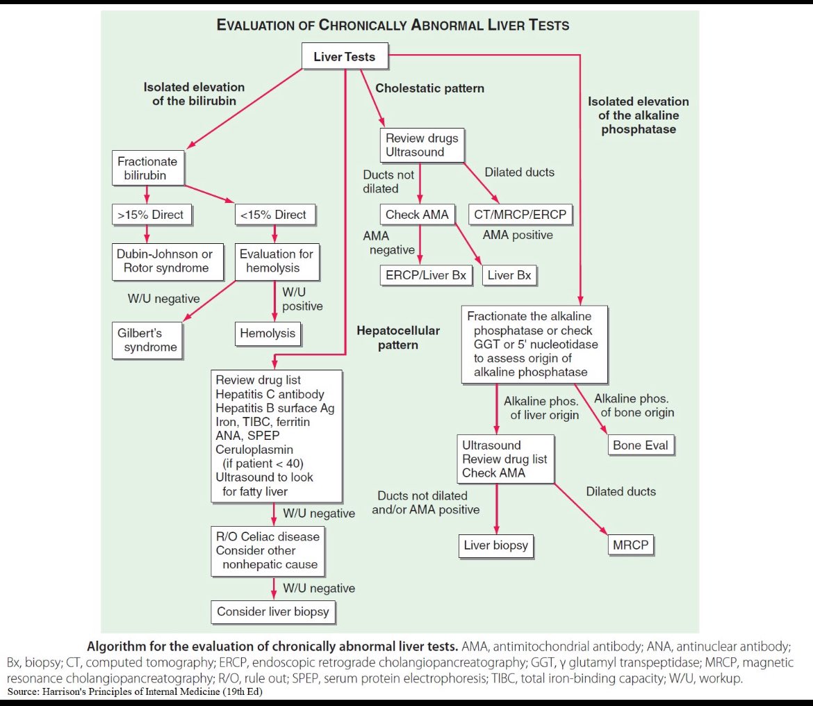 JasmineNephro's tweet photo. 🧪Approach to abnormal liver tests 

Harrison https://t.co/rIaqMyOOBC