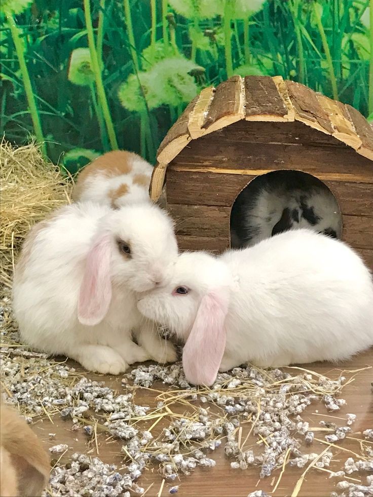 HildaPatsy54813's tweet image. Excellent photography ♥️🔥🔥