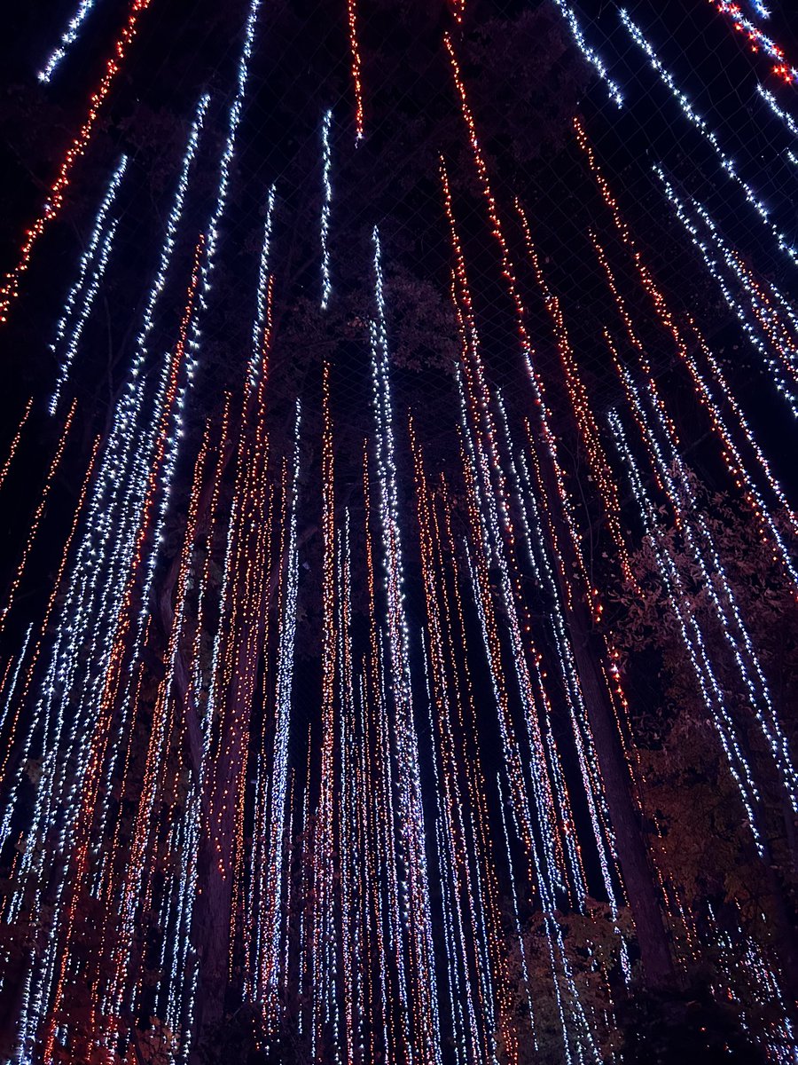 harrison tweet media