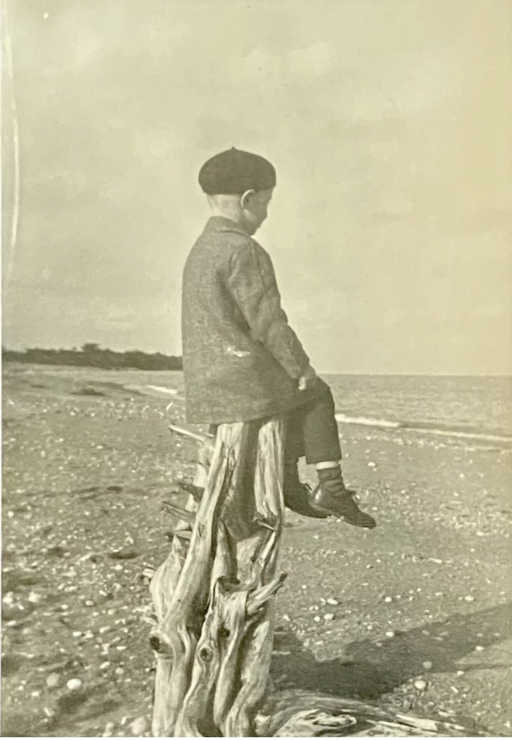 Sara DeBarr Jones tweet media