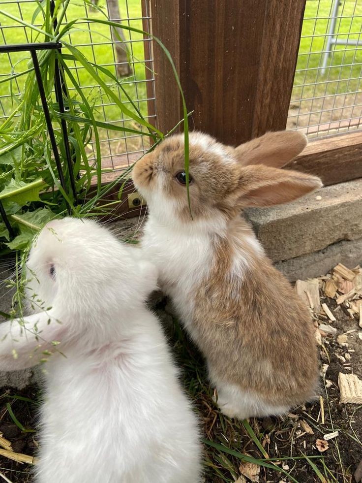 HildaPatsy54813's tweet image. Excellent photography ♥️🔥🔥