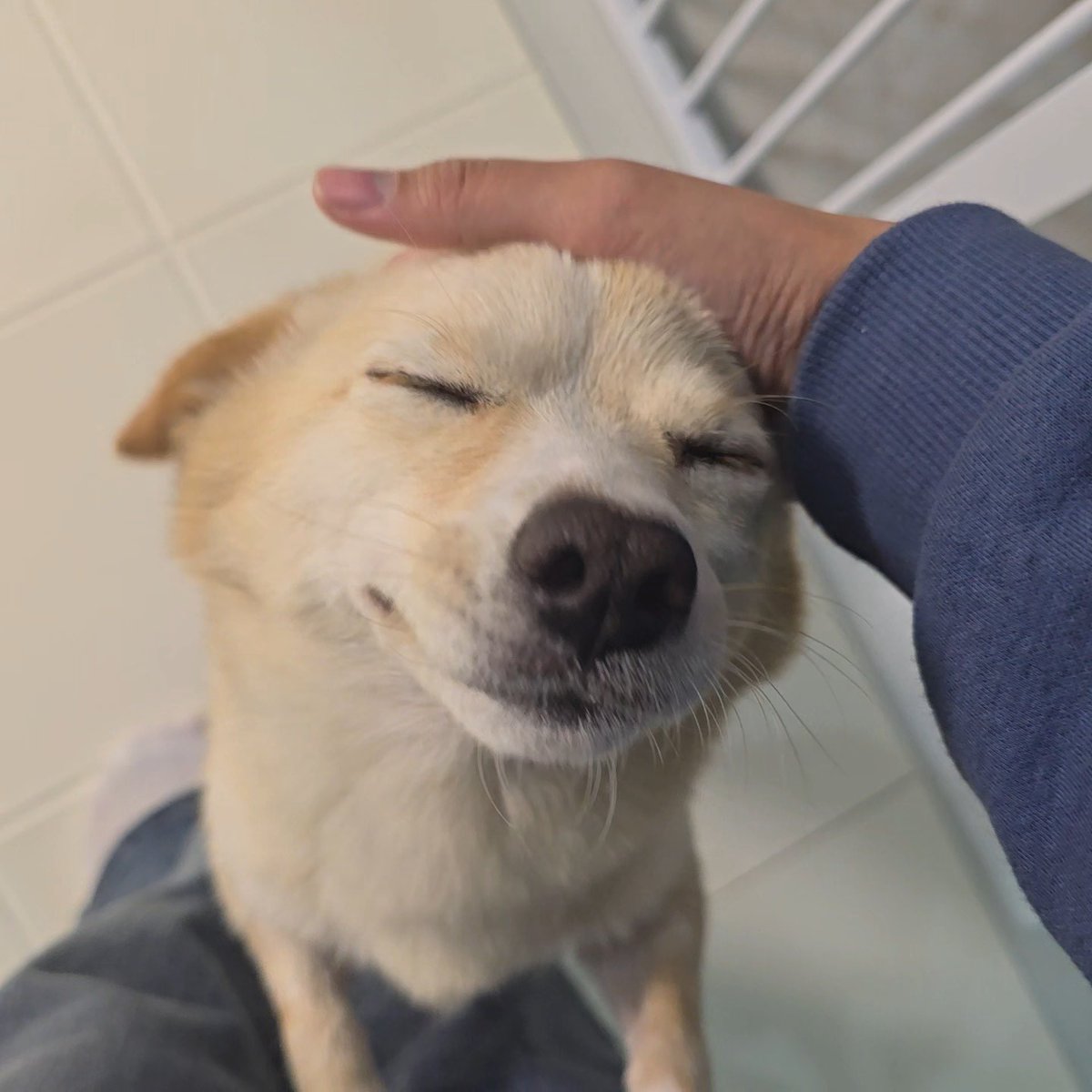nulong_Z's tweet photo. 나를 너무 사랑해주는구나 
대체왜 https://t.co/UtXj7vFbaA