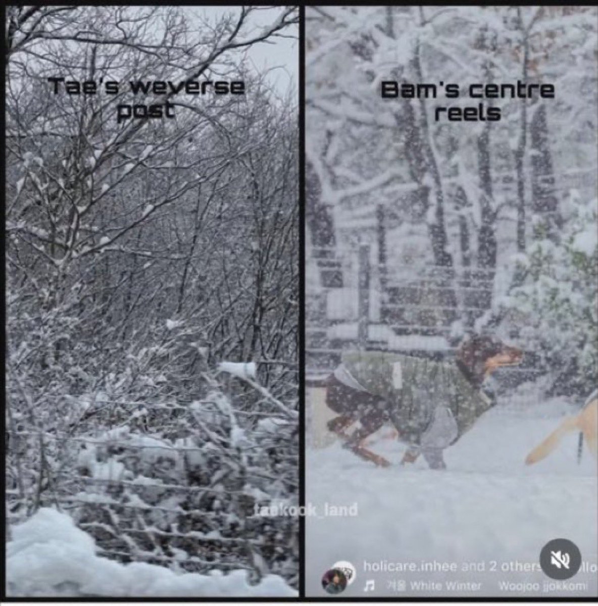 jungkovtae's tweet photo. You're telling me that taekook saw the snow together ?! https://t.co/mlI628dMAt