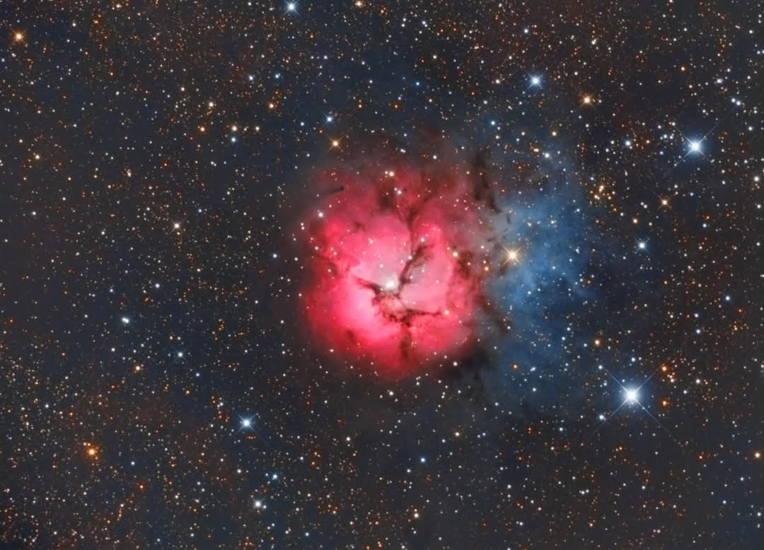 IMZLO-Zach tweet media