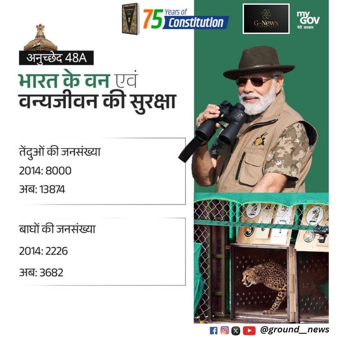 ground__news's tweet photo. "भारत के संविधान के अनुच्छेद 48A के तहत पर्यावरण और वन्यजीवन संरक्षण के प्रति प्रतिबद्धता। तेंदुओं की संख्या 8,000 से बढ़कर 13,874 और बाघों की संख्या 2,226 से बढ़कर 3,682 हुई।#WildlifeConservation #TigerPopulation
#LeopardProtection
#EcoWarriors
#SaveTheTigers
#ProtectOurForests https://t.co/56C03jDmkQ