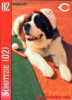 TheBuccosFan's tweet photo. Pete Rose bet that Marge would be holding her cigarette in her right hand and would inhale for 3 seconds and exhale for 2 seconds. #SchottzieTookThatBet #AndLost #SillyDog #RuffWayToLose #ASaintBernardShouldNotBet #EvenWhenTheOddsFavorThem #LearnTheHardWay #PeteRoseCheats https://t.co/V3nbpFxSNN
