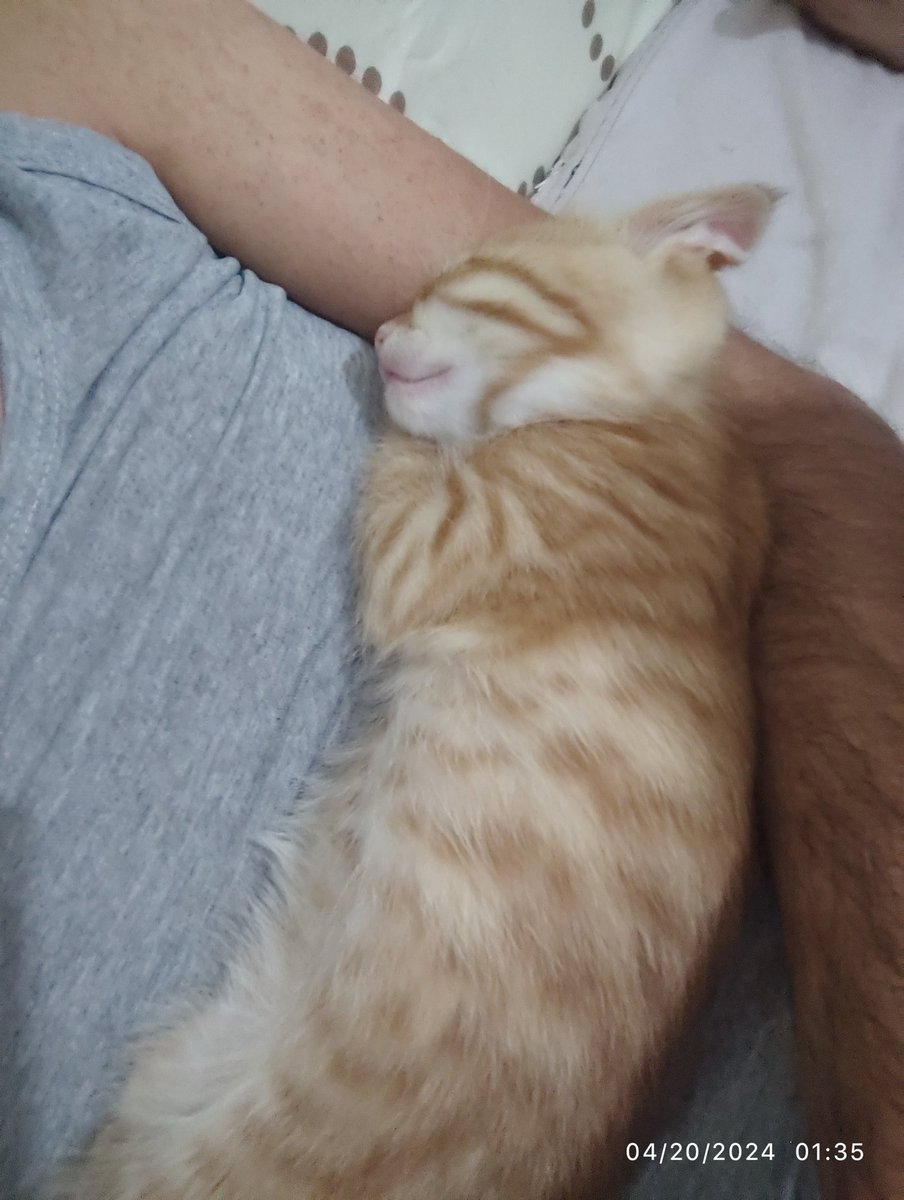 Mt03_max's tweet photo. @ShouldHaveCat really he left a lot of Pain in me all https://t.co/sgLiqWaHZU