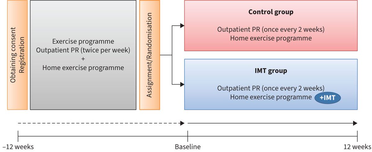 ERJ Open Research: This study aimed to evaluate the effect of IMT on maximum diaphragmatic excursion using ultrasonography in patients with COPD. IMT following the PR programme improved maximum diaphragmatic excursion (DEmax) and exercise tolerance. bit.ly/3yMfj9v
