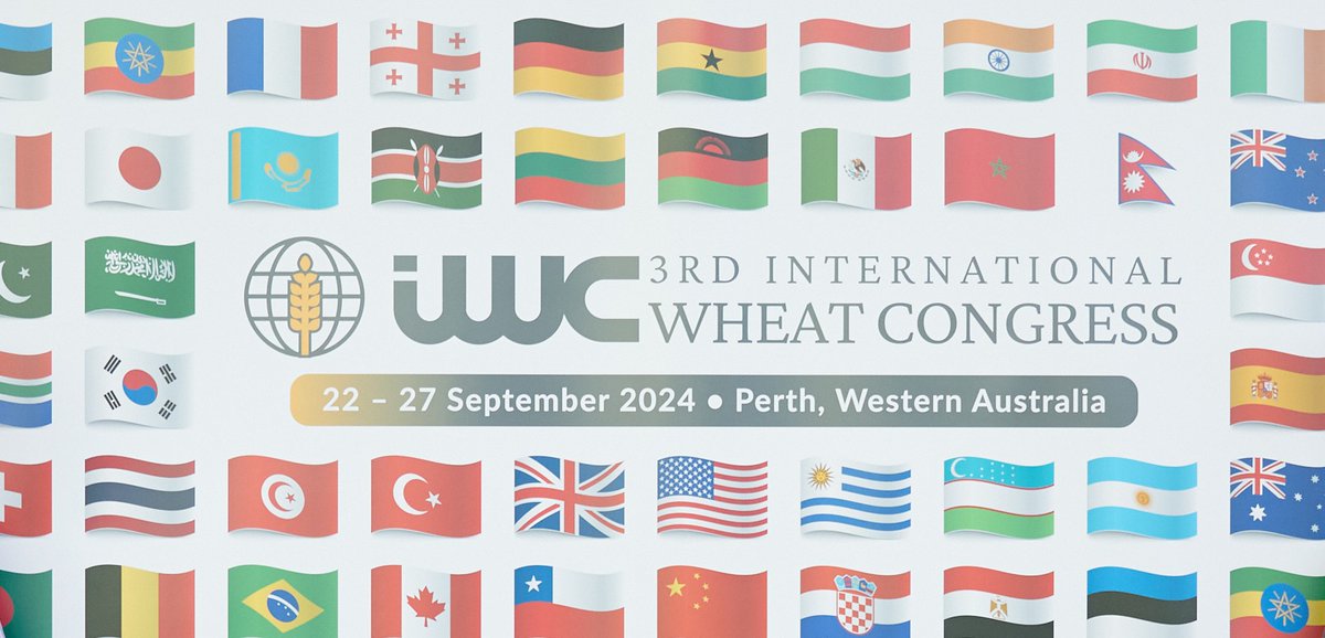 <a href="/SpringerNature/">Springer Nature</a> has published a fantastic overview of the International #Wheat Congress #IWC2024Perth, 
It covers the key challenges and opportunities facing the global wheat community. 
Thank you <a href="/rajvarshney/">Rajeev Varshney FRS</a> for organising this! 
nature.com/articles/d4247…