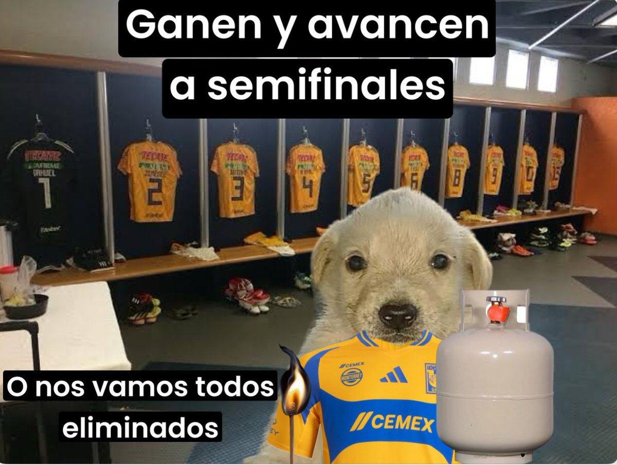migangelgarzam's tweet photo. @TigresOficial https://t.co/RdU2fWAJ2H