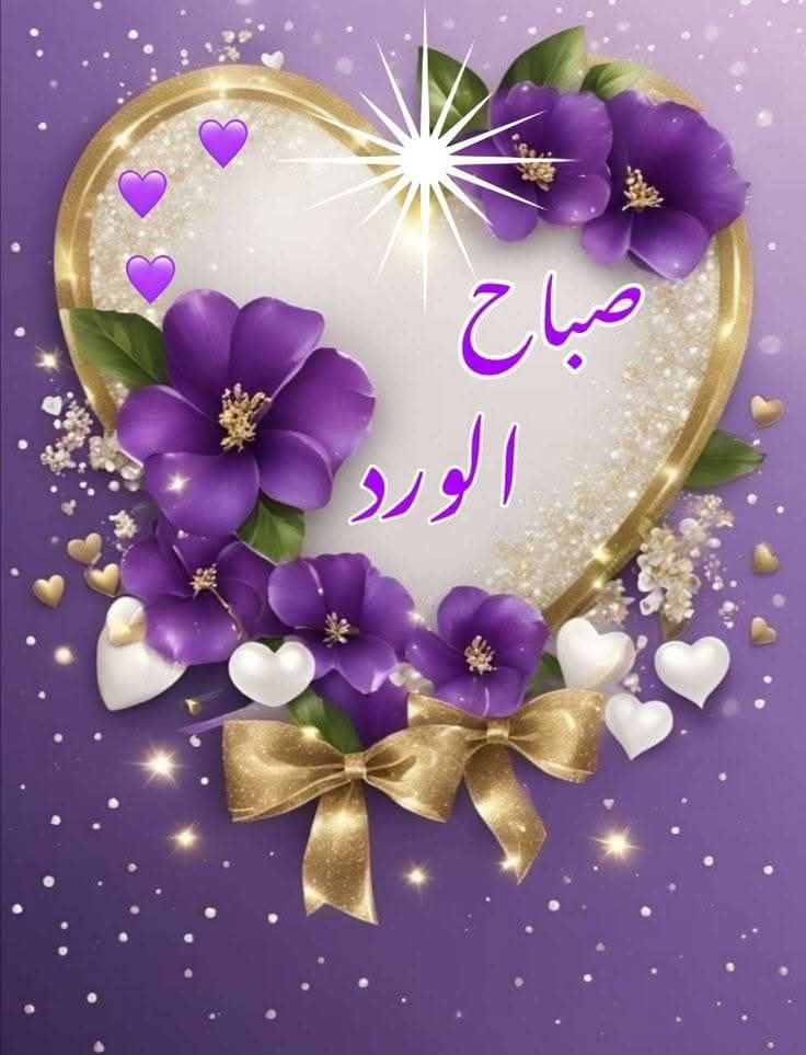 🇪🇬 مصري وطني 🇪🇬 tweet media