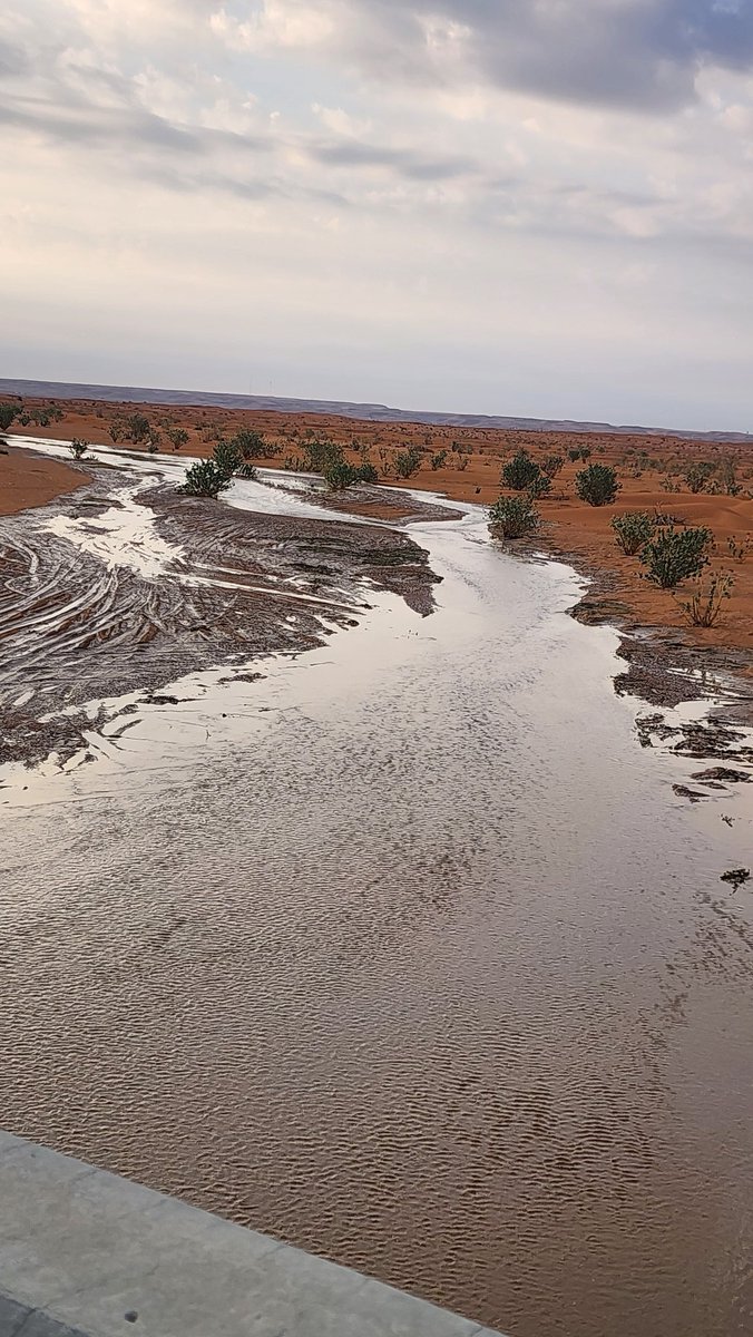 شعيب الحسي يوم الخميس ٢٦ جماد الاول ١٤٤٦ھ