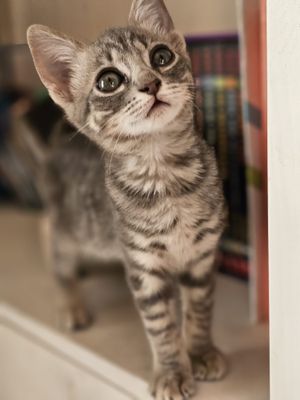 Jake Bradley tweet media