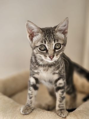 Jake Bradley tweet media