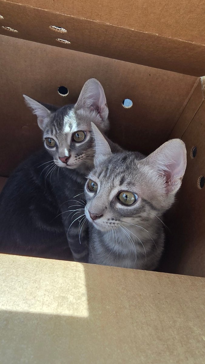 Jake Bradley tweet media