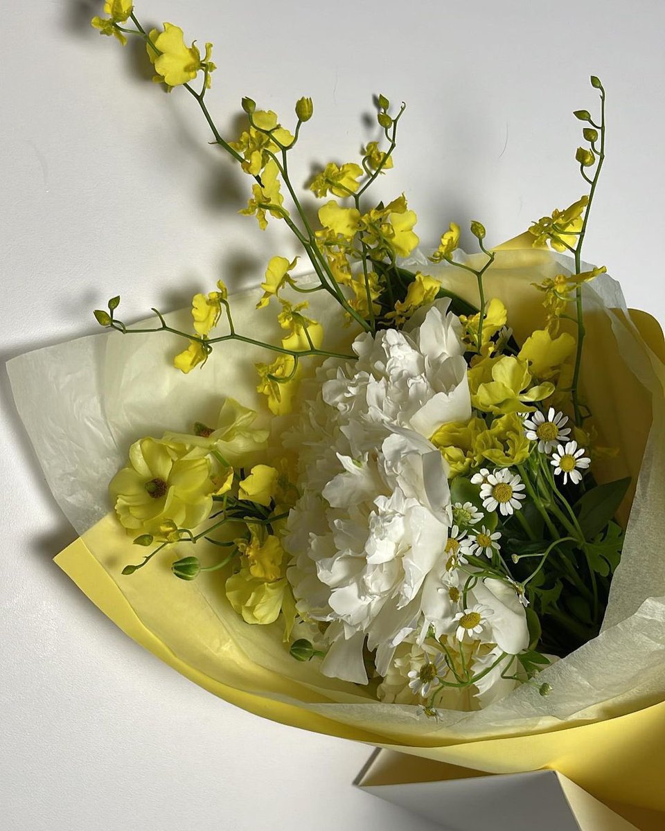 jzx1xy's tweet photo. 💐 https://t.co/kxBxvM9hhV