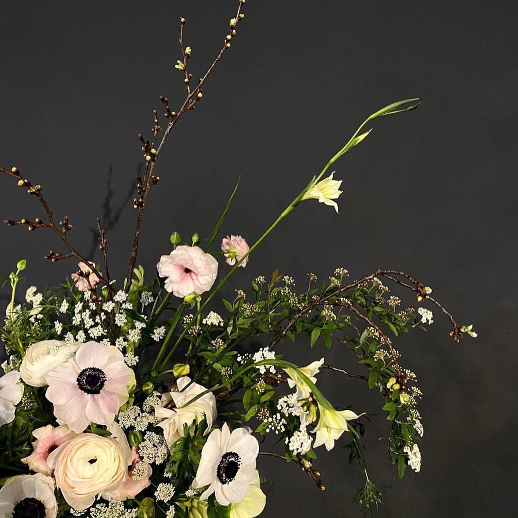 jzx1xy's tweet photo. 💐 https://t.co/kxBxvM9hhV