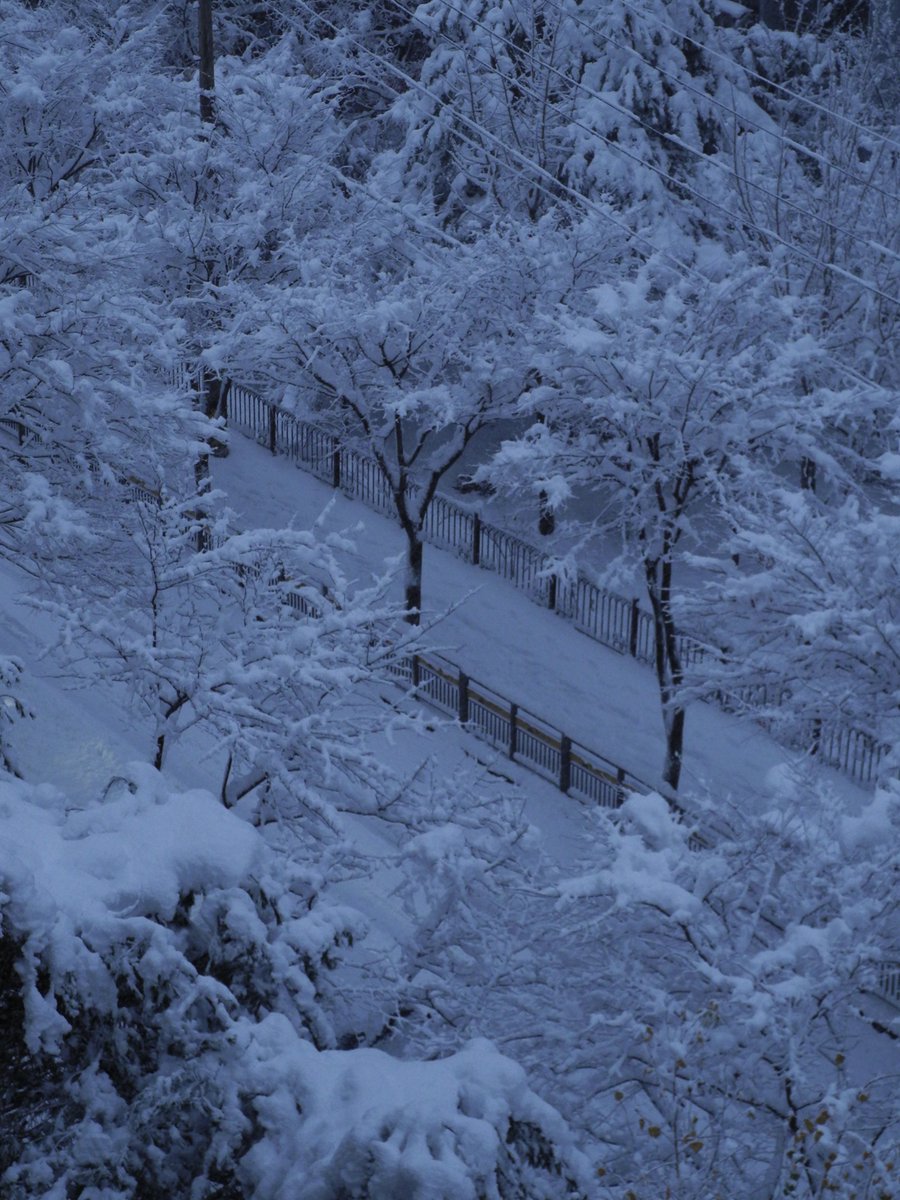 aprilrecord's tweet photo. 이거 내가 너무 좋아하는 겨울 새벽 색감이야 ・・・ ❄️ https://t.co/uQuuuHLWtU