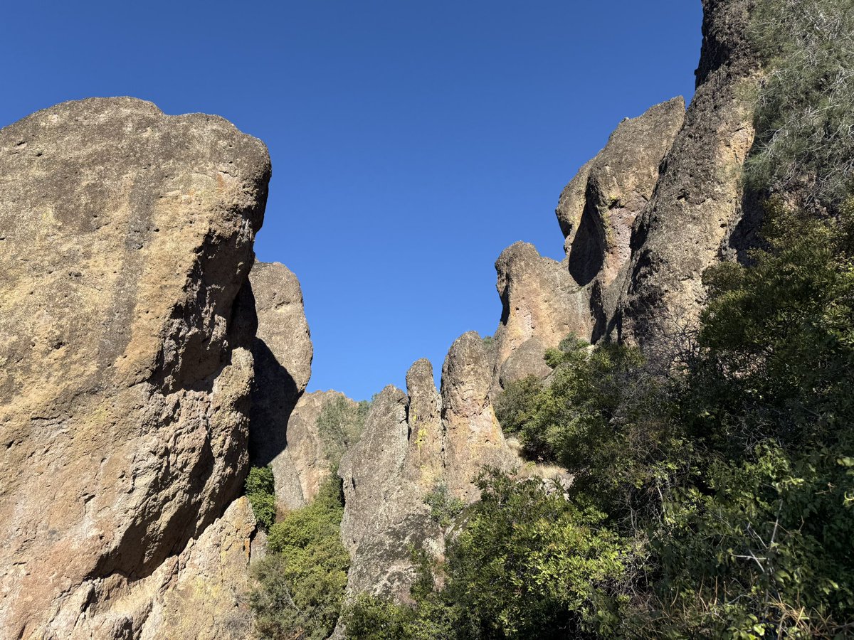 Josh Elman tweet media