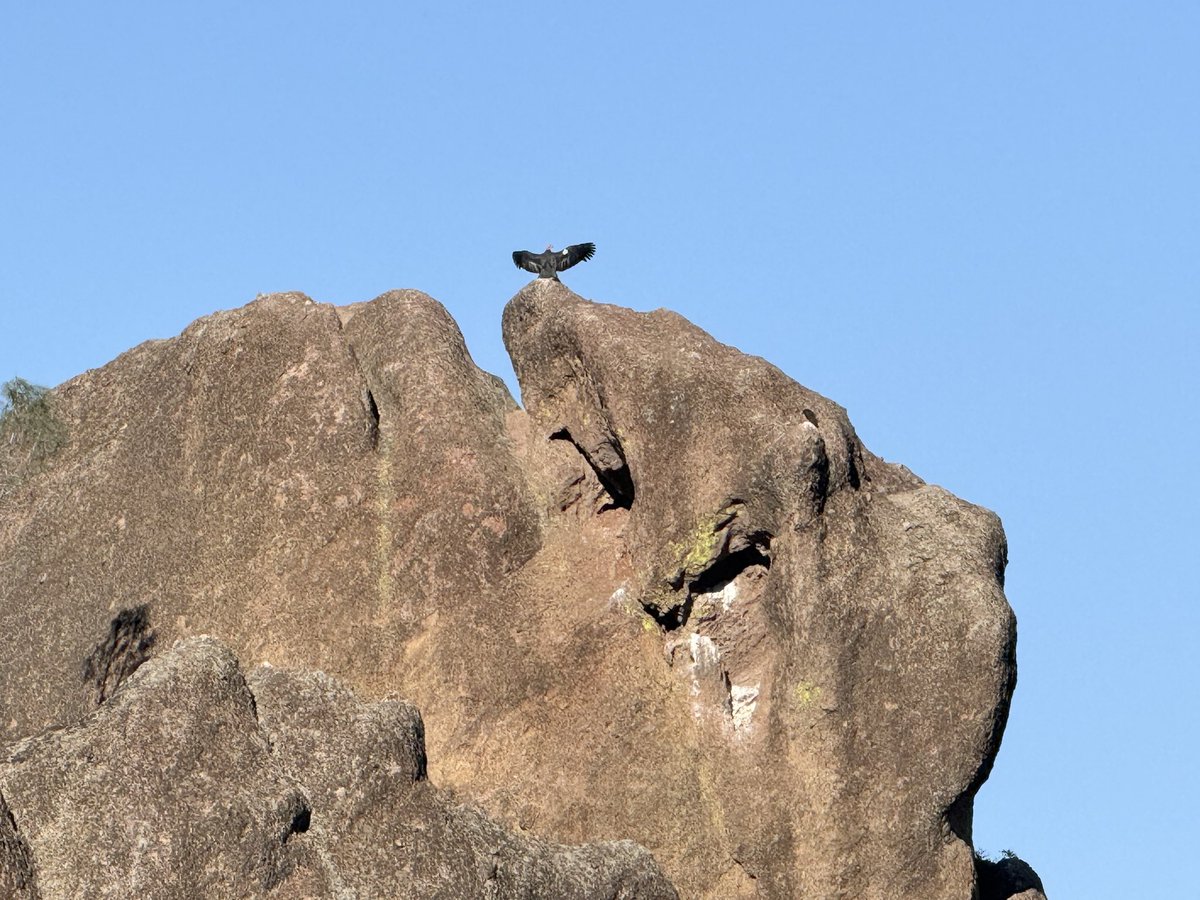 Josh Elman tweet media