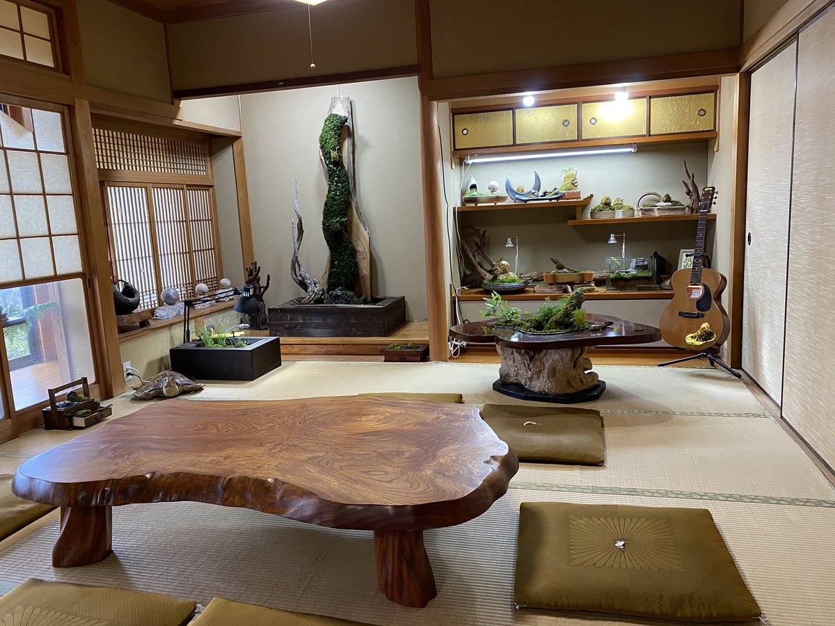 inubouz_P's tweet photo. 苔アートギャラリー赤磐
安禅寺別院『富苔庵』
良い感じに仕上がってきました。
障子を貼り直さなきゃ。
#苔アートギャラリー 
#苔アートギャラリー赤磐 
#苔
#苔アート 
#苔アーティスト小竹規弘 https://t.co/WfoZ2SBpSM