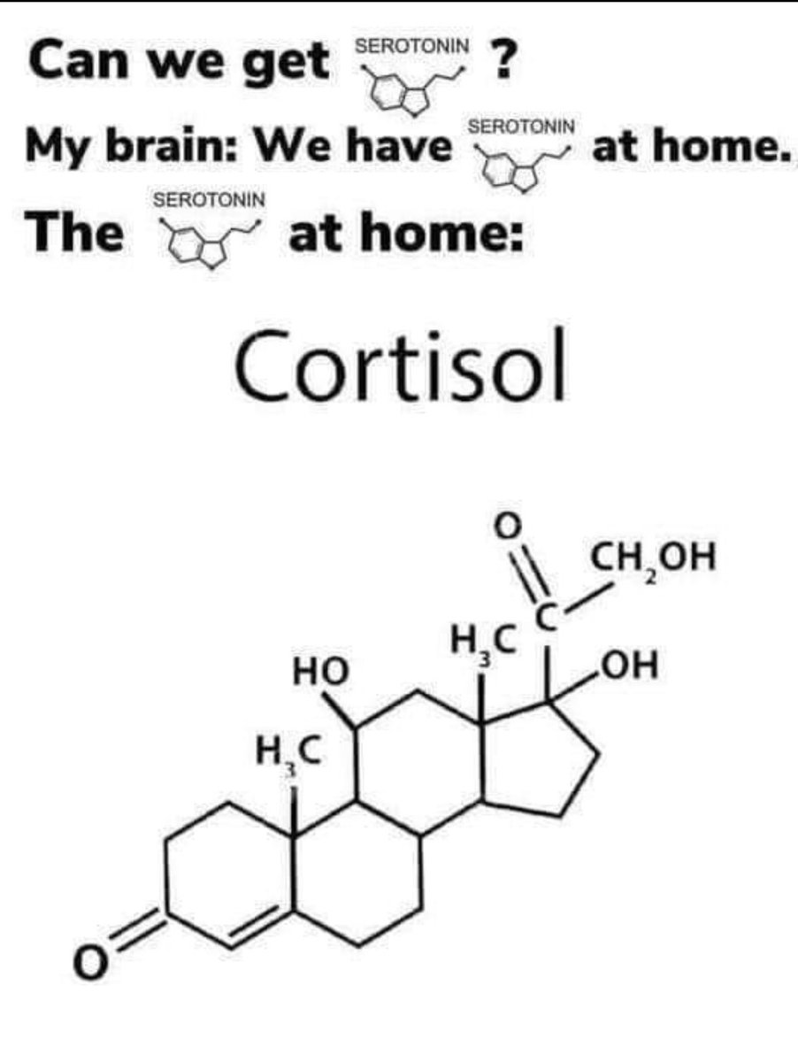 ADHD Memes (@adhdforreal) on Twitter photo 