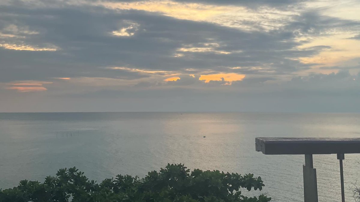 bloomsofmay's tweet image. how my morning went 📄☕️🌟