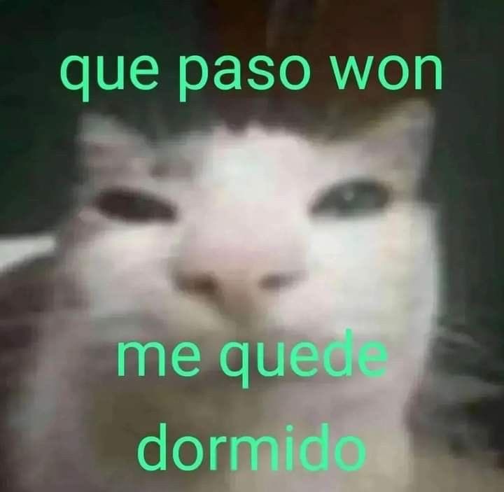 ᅠ ᅠ (@krigprek_) on Twitter photo 