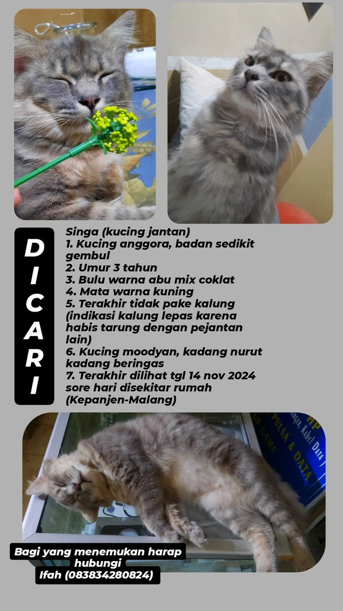 Babu Jagung tweet media