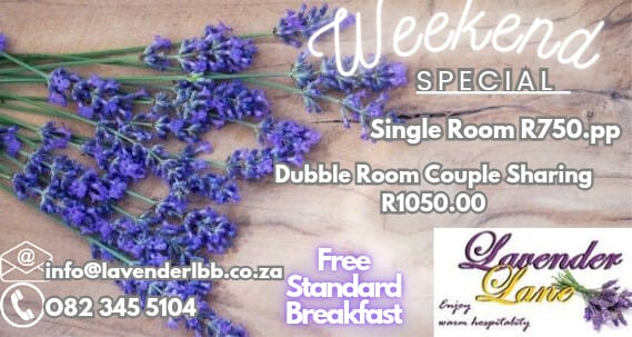 Lavender Lane B&B Ahlers tweet media