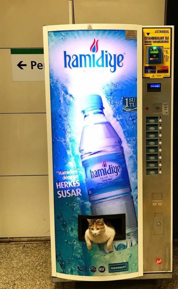 The metro security will also help you if your drink gets stuck at vending machines