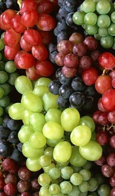 ReallyMysterio1's tweet photo. I'm grapeful for all my followers🍇😂💚❤️💜💙@CinWaring @Cyrano_Ghost @JCMorganJr @douglukauskas @lou_com1 @mine4me @Shannon_0727 @TurlsA18 @kenhansen1023 @SPLeht @dan98541413 @AgrippaCruz @GuberneyDerek @JackMCarey1 @logyns_run @lynnelhb @RoyalistTristan @JaypeeAZ @albertksfong1 https://t.co/kRuUbj6vhG