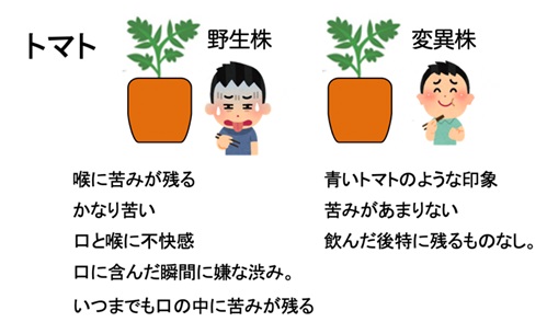 InnovationRiken's tweet photo. 【展示シーズのご紹介】

『植物の���味を改善』
え。トマトの葉を食用化して資源活用する⁉️
食卓の常識を変える発明‼️

詳しくは、「みー１６」
#理研イノベーション ブースにて👍

＃理研 #社会実装 #産業連携 #ビックサイト
#アグリ #アグリビジネス創出フェア https://t.co/0TU5L9ADcX