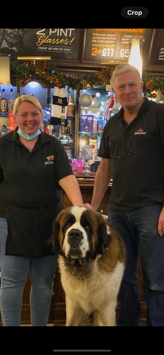 ajena1's tweet photo. @theberrypub Cooper loves the @theberrypub too https://t.co/pmOMn58AwL