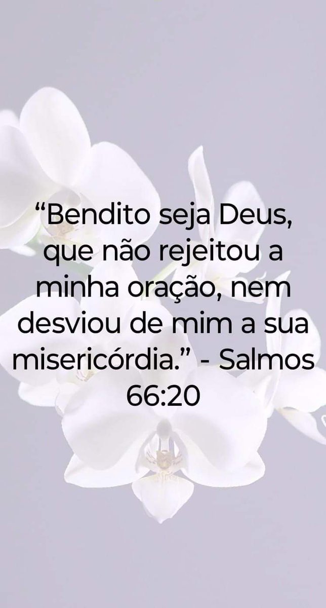 EdsonAcarau's tweet photo. https://t.co/t9W5ThuoFB